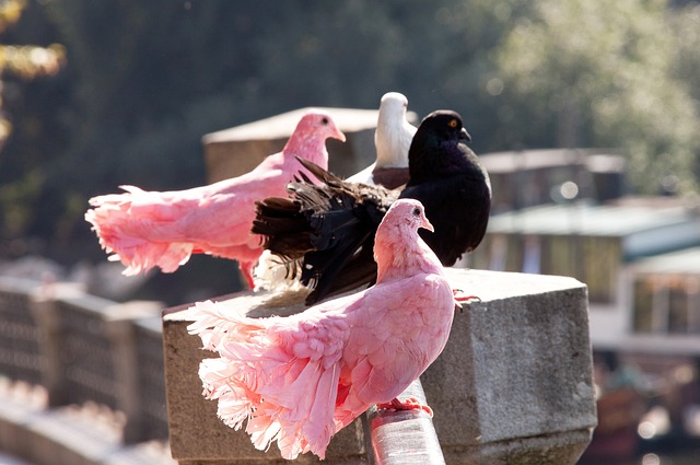 穆帅：我坚信我们还没出局；今天裁判很有风格但水平不高