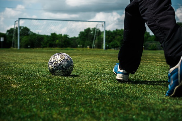 足球国足争议判罚引专家讨论