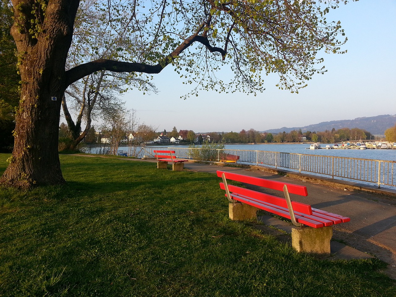 世体：巴萨查出约500起球迷倒卖对阵法兰克福门票的案件