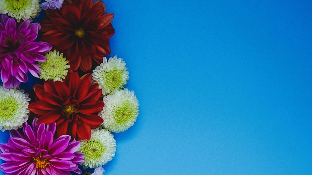 NBL国王官方：马鲁阿奇将因膝盖酸痛缺席对阵破坏者的比赛